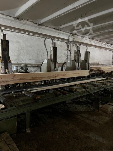 Complete Sawmill ÜSTÜNKARLI Carriage Bandsaw Edger