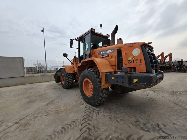 Radlader Doosan DL250-3
