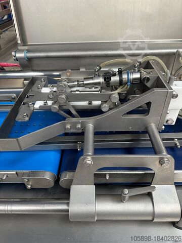 Automatic sausage filling linking line with auto tray loading. Handtmann VF628, PVLS143, GM310 and ZB311