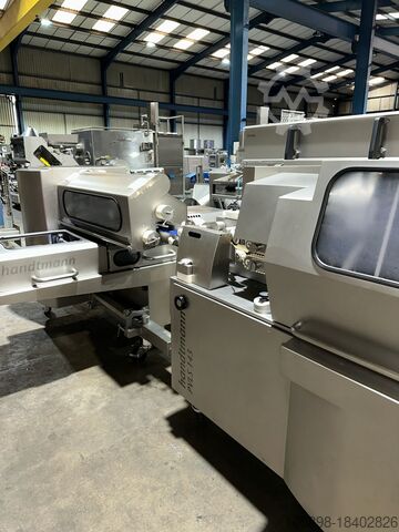 Automatic sausage filling linking line with auto tray loading. Handtmann VF628, PVLS143, GM310 and ZB311