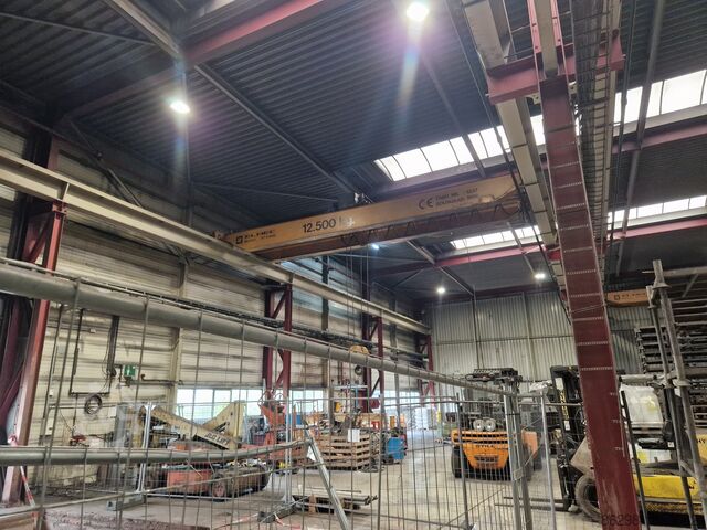 Hallenkran  ± 10.500 mm x 12.500 kg Demag ZKKE