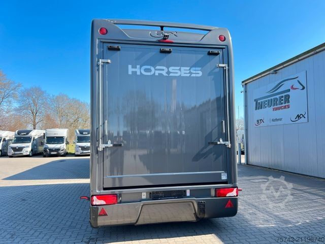 Horse transport trailer  STX Trailer  3-4 Pferde Wohnung, Dusche