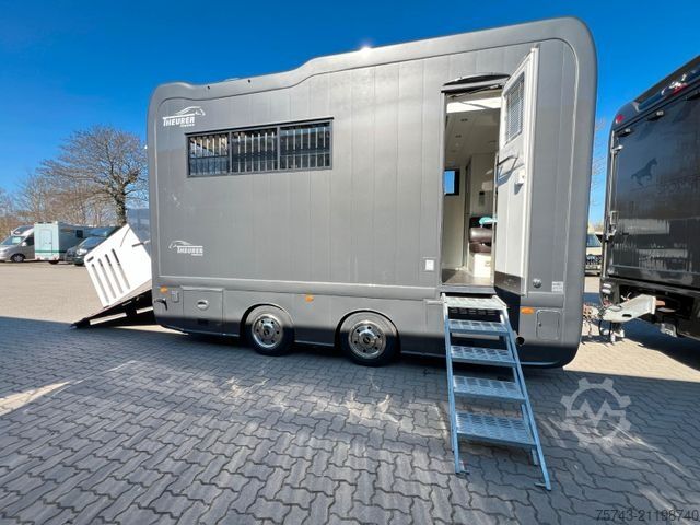 Horse transport trailer  STX Trailer  3-4 Pferde Wohnung, Dusche