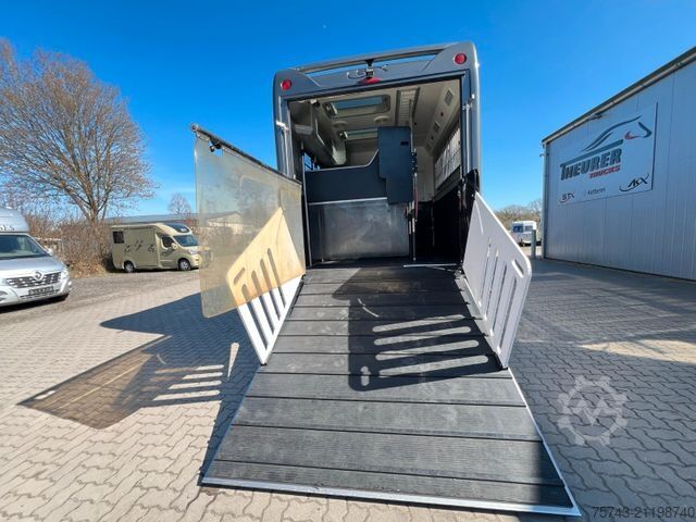 Horse transport trailer  STX Trailer  3-4 Pferde Wohnung, Dusche