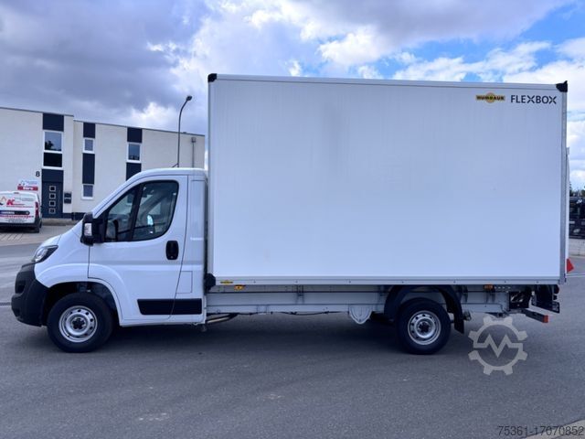 Transporter mit Koffer FIAT Ducato 180 PS Koffer LBW Humbaur E6