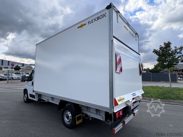 Transporter mit Koffer FIAT Ducato 180 PS Koffer LBW Humbaur E6