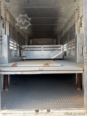 Cattle truck SCANIA 5