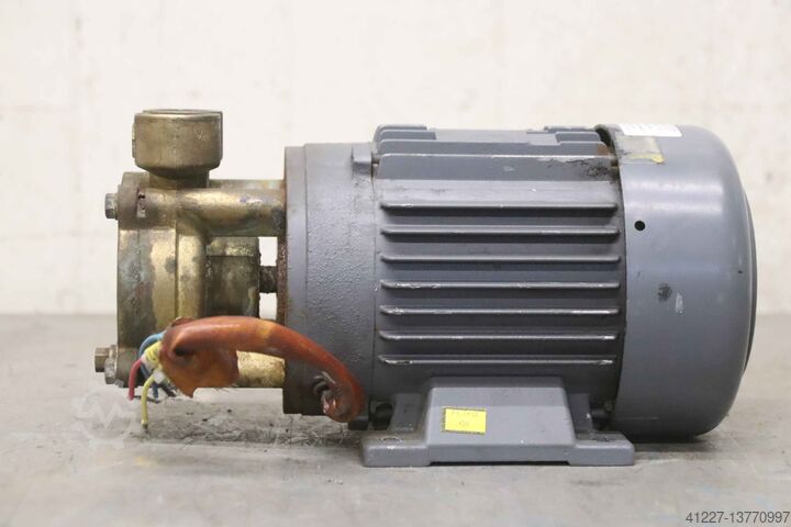 Centrifugal pump peripheral wheel pump 0.55 kW gwk Speck Pumpen 45 l/min  WP 60