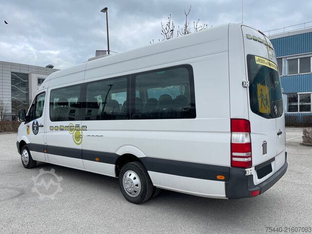 Kleinbus Mercedes-Benz Sprinter 516 CDI - Euro6  (518 519)