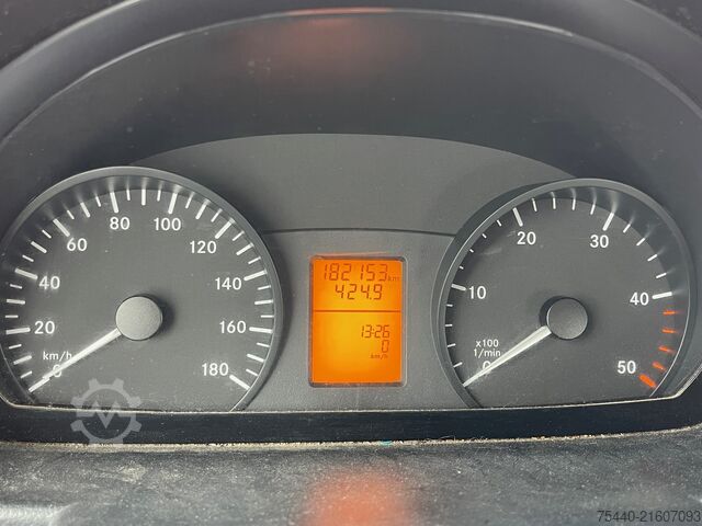 Kleinbus Mercedes-Benz Sprinter 516 CDI - Euro6  (518 519)