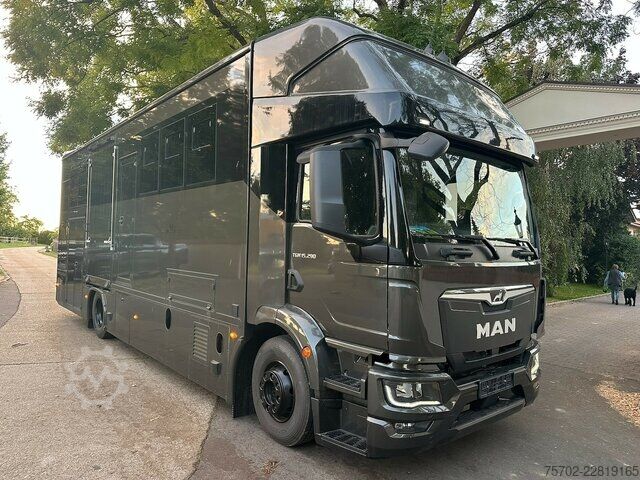 Van MAN TGM 15290 Popout 4-5 Pferde Wohnmobilzul.