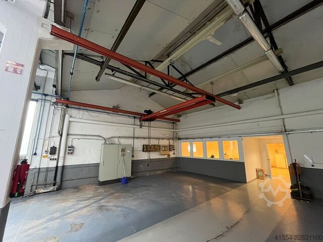 Pendelkrananlage bis 1000 kg Spiess 