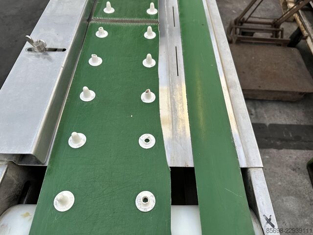 Van Lengerich asparagus washing & cutting machine VAN-LENGERICH 