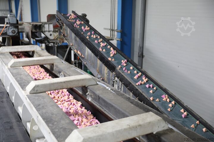 Gleitschleifanlage Rösler R 550/6600 DA