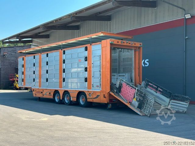 Livestock semitrailer Finkl SAV35 4.Stock Hubdach Lift Tränke Tridec