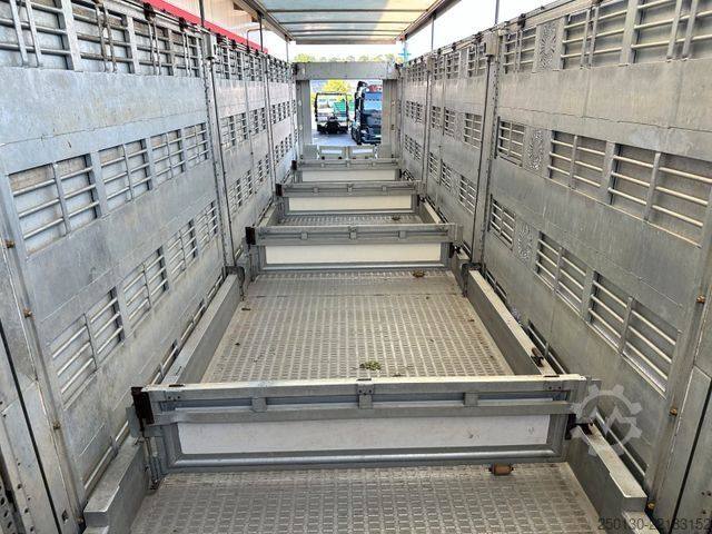 Livestock semitrailer Finkl SAV35 4.Stock Hubdach Lift Tränke Tridec