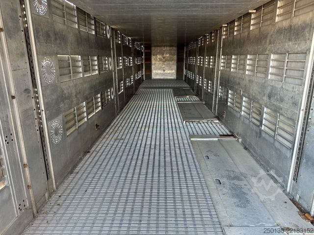 Livestock semitrailer Finkl SAV35 4.Stock Hubdach Lift Tränke Tridec