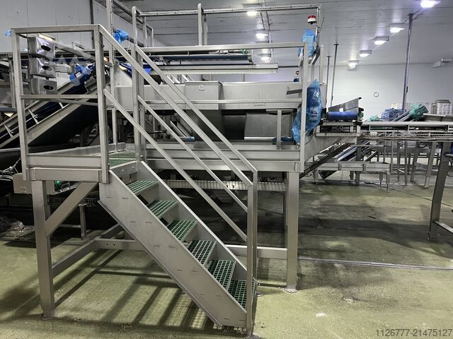Continuous potato peeling line Tong 