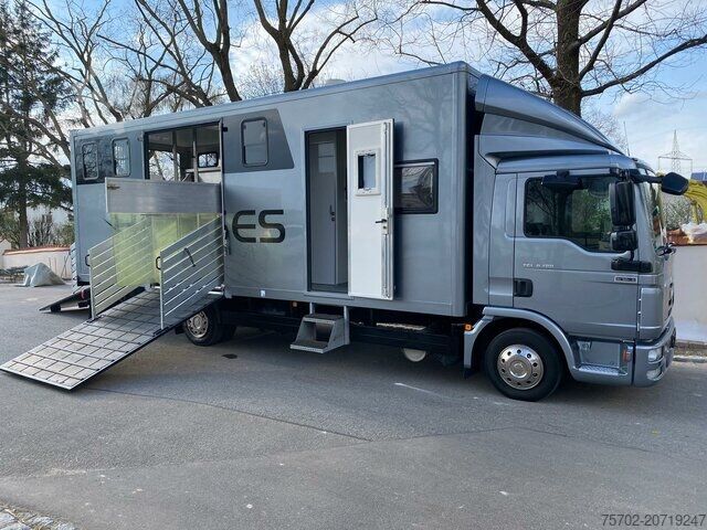 Livestock transporter MAN TGL 8180 Gimmel 1-4 Pferde Wohnmobilzulassung