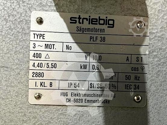 Vertikale Plattensägen Striebig Standard III TRK 6220 A 2001 Striebig Standard III TRK 6220 A