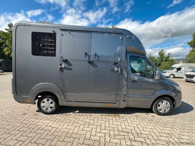 Livestock transporter MERCEDES-BENZ STX Sprinter  3.500KG  Haras Hengste