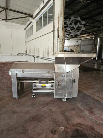 Destemmer Crusher Grape Crusher-Destemmer Toscana Enologica 100 rh gamma