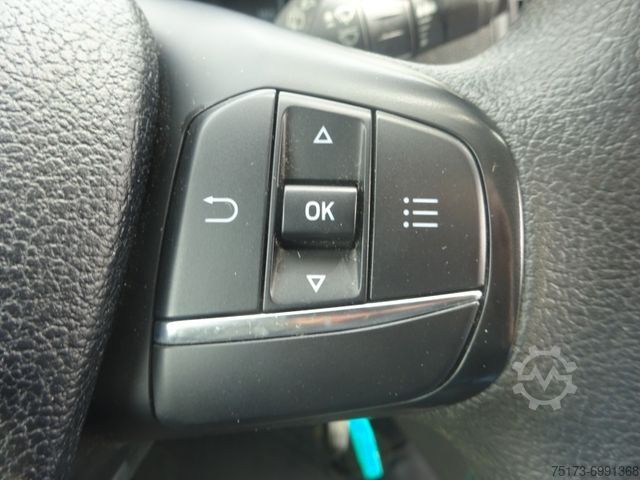 Panel van FORD Transit Custom Kasten 280 L1 Euro6