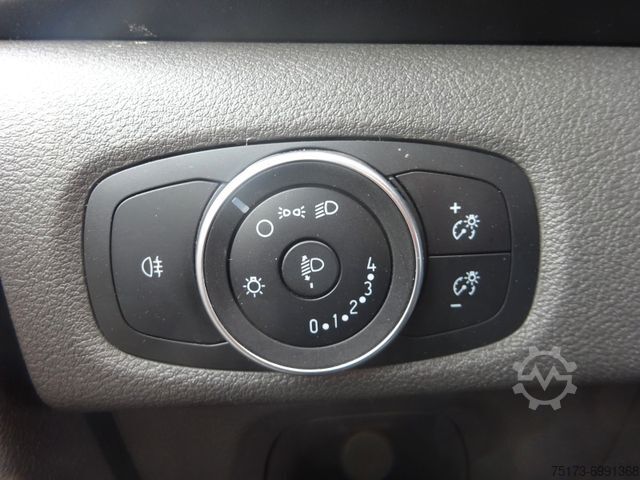 Panel van FORD Transit Custom Kasten 280 L1 Euro6