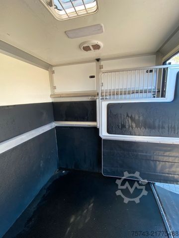 Livestock transporter RENAULT Master STX Haras 3 Sitzer