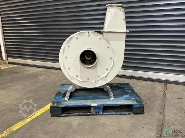 Fans Unknown Unknown 