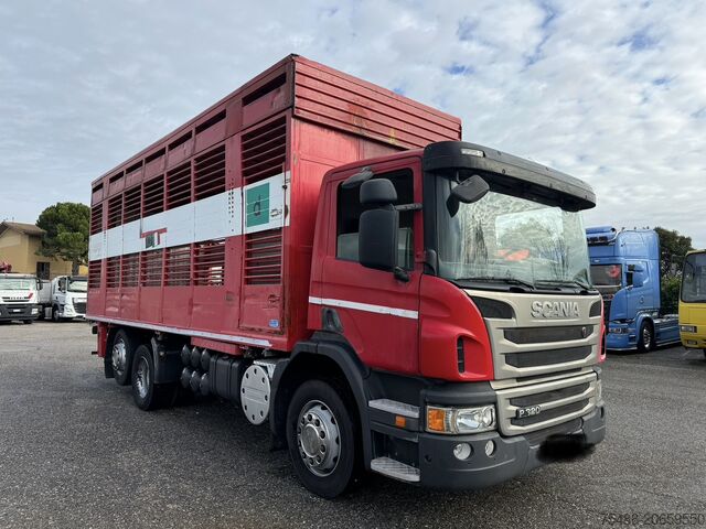Livestock truck SCANIA P 320 TRASPORTO ANIMALE 6X2