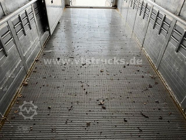 Horse transport trailer MENKE-JANZEN 1.Stock Viehanhänger