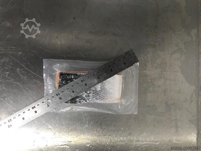 Variovac Primus Tiefziehmaschine Baujahr 2015 Variovac primus thermoformer