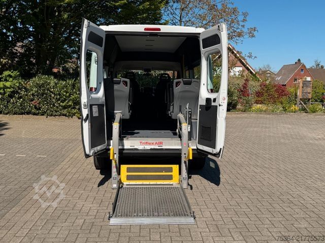 Minibus FIAT Ducato 3.0 CNG/Erdgas 9 Sitze Schiebetür Klima