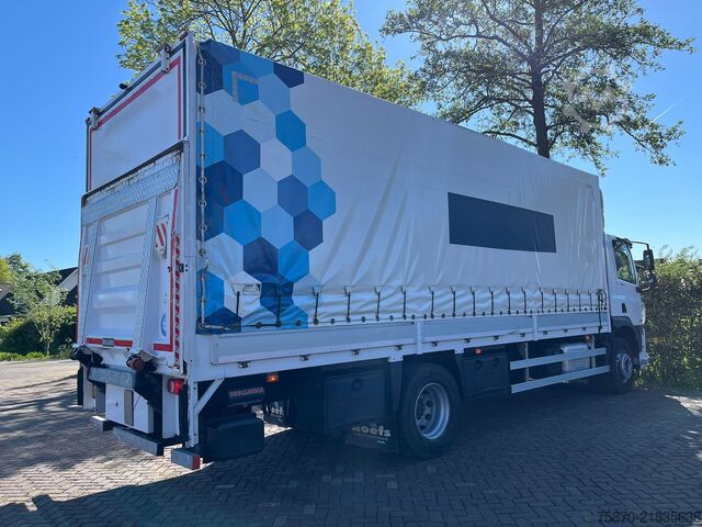 Suitcase DAF CF 260 FA
