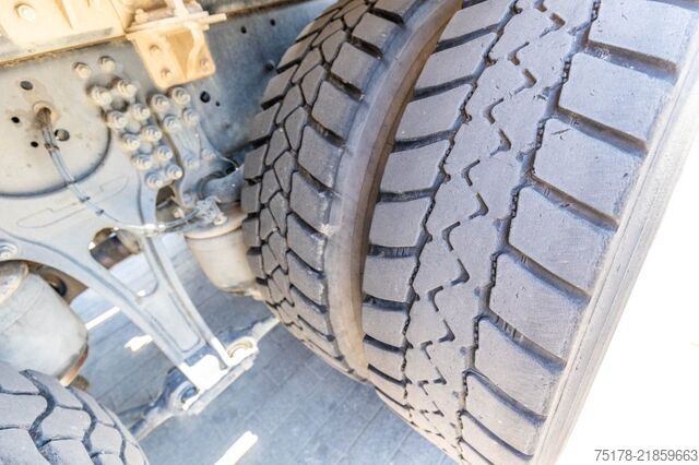 Hakenarmsystem IVECO X-WAY 460