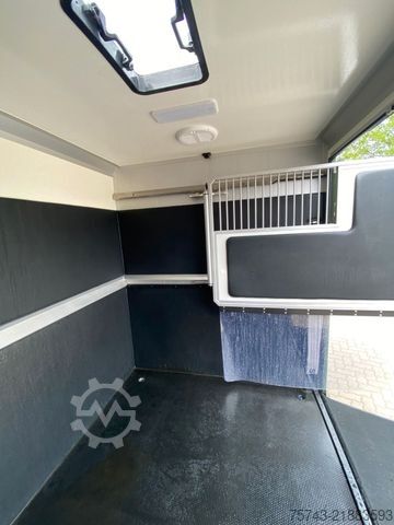 Livestock transporter RENAULT Master STX 5 Sitzer Haras ex. Lang Automatik