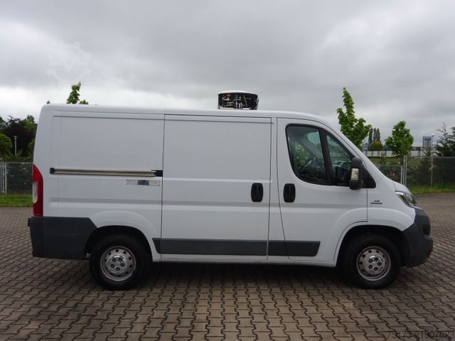 Refrigerator body van FIAT Ducato 115PS Teifkühlkasten L1H1 Kamera