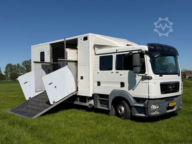 MAN TGL 12.180 TGL 12.180 HORSE TRUCK. MAN TGL 12.180 TGL 12.180 PAARDENWAGEN.
