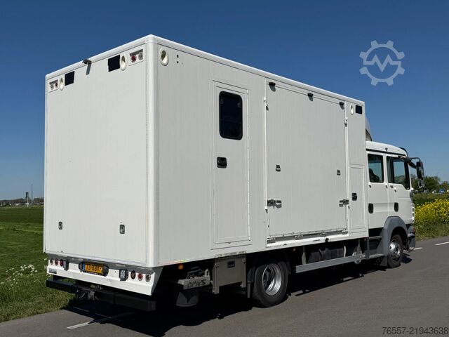MAN TGL 12.180 TGL 12.180 HORSE TRUCK. MAN TGL 12.180 TGL 12.180 PAARDENWAGEN.