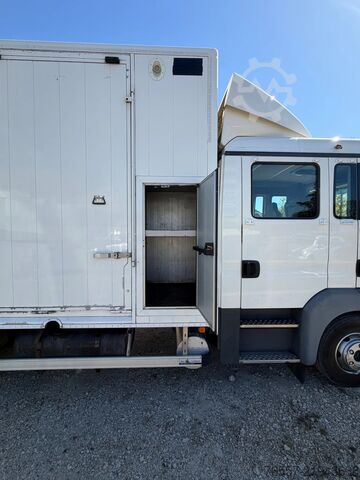MAN TGL 12.180 TGL 12.180 HORSE TRUCK. MAN TGL 12.180 TGL 12.180 PAARDENWAGEN.