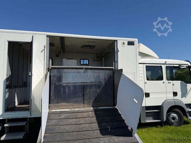 MAN TGL 12.180 TGL 12.180 HORSE TRUCK. MAN TGL 12.180 TGL 12.180 PAARDENWAGEN.