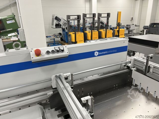 Pile elevator Baumann-Wohlenberg BA 2Ne