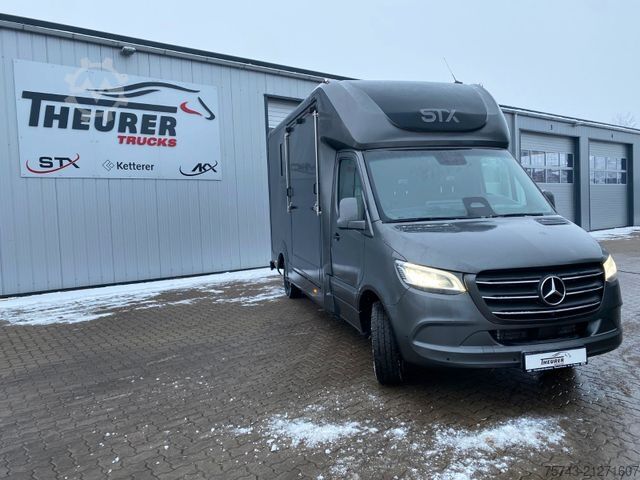 Livestock transporter MERCEDES-BENZ STX Sprinter  GG 4,100KG  Haras Hengste