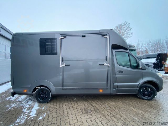 Livestock transporter MERCEDES-BENZ STX Sprinter  GG 4,100KG  Haras Hengste