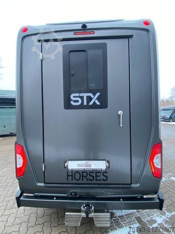 Livestock transporter MERCEDES-BENZ STX Sprinter  GG 4,100KG  Haras Hengste