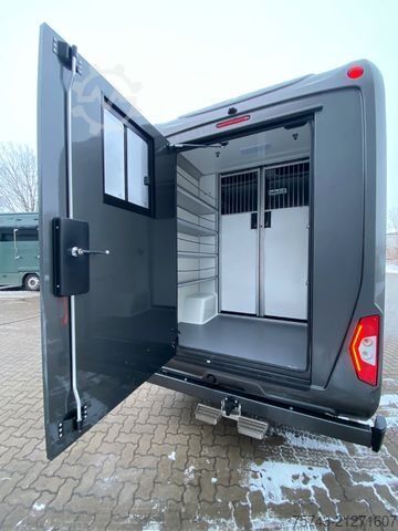 Livestock transporter MERCEDES-BENZ STX Sprinter  GG 4,100KG  Haras Hengste