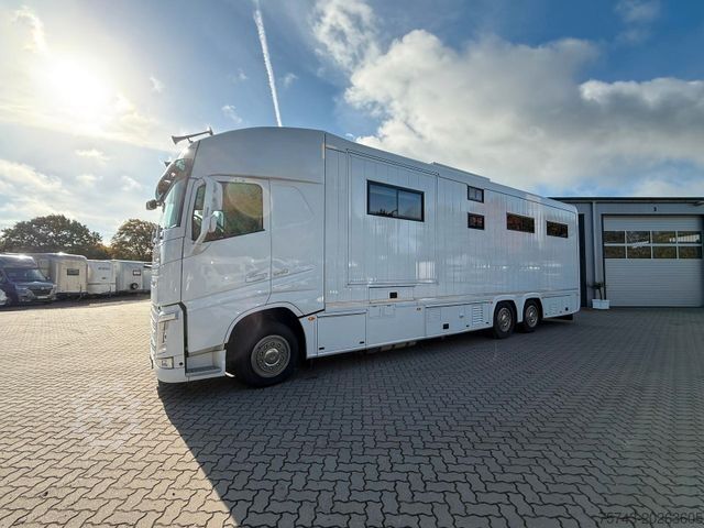 Cattle truck VOLVO FH 540 STX 6 Pferde Dop-POP-OUT, POP+UP NEW VOLL