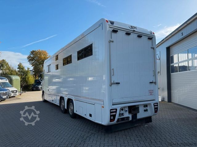 Cattle truck VOLVO FH 540 STX 6 Pferde Dop-POP-OUT, POP+UP NEW VOLL