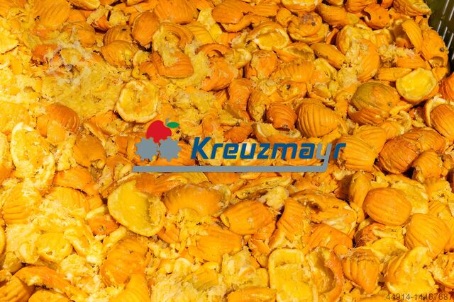 Zitruspresse KCE 1000 Kreuzmayr KCE 1000